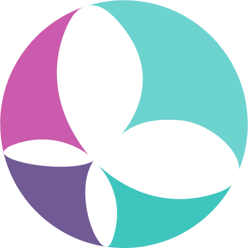 logo van Skinadmin het elektronisch dossier voor huidzorgklinieken en huidzorgpraktijken